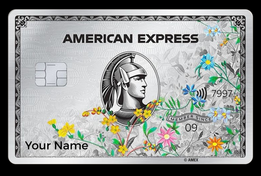 Platinum Art Amex
